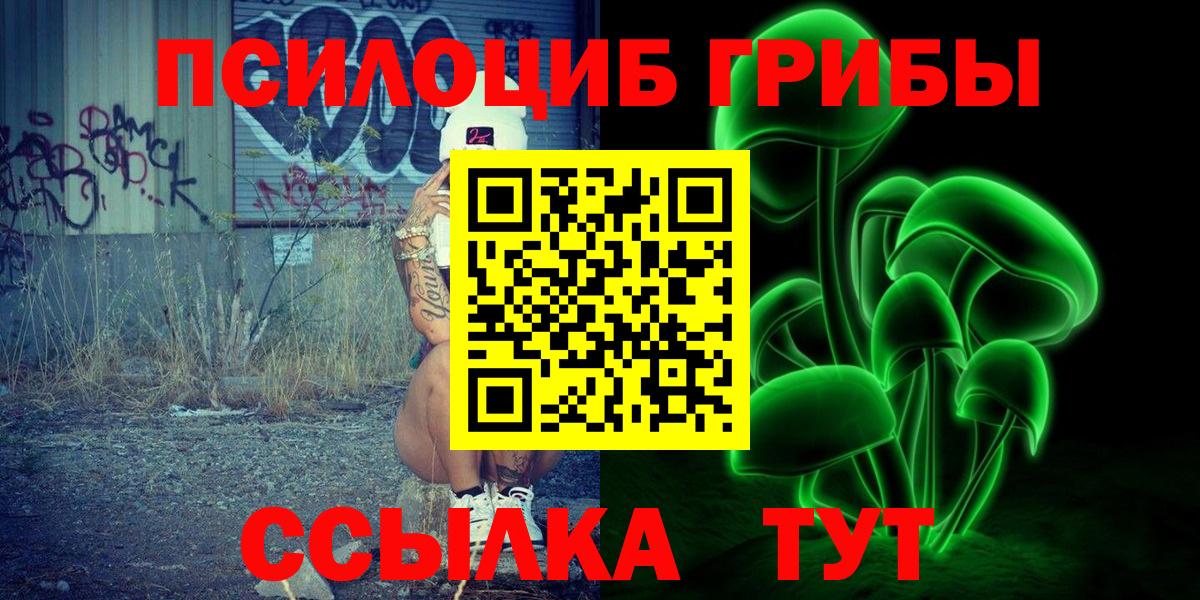 Галлюциногенные грибы MAGIC MUSHROOMS  купить наркотики цена  Вход с VPN  Полевской  Галлюциногенные грибы Psilocybe 