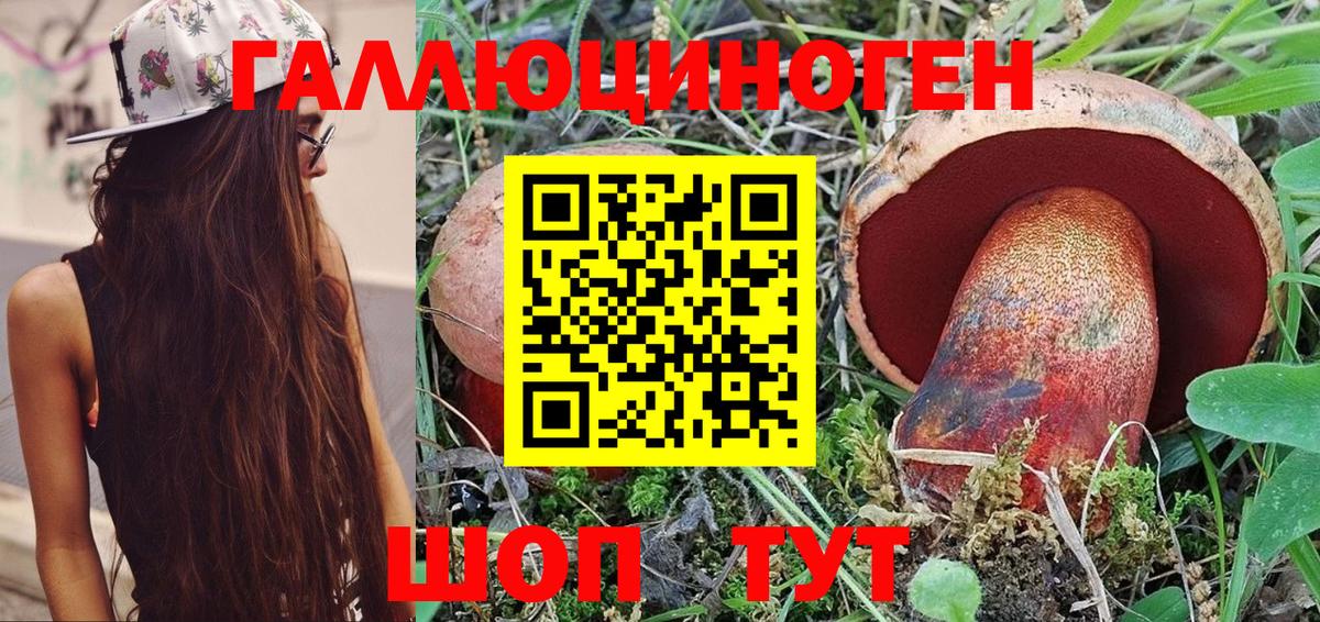 Галлюциногенные грибы Psilocybe Полевской